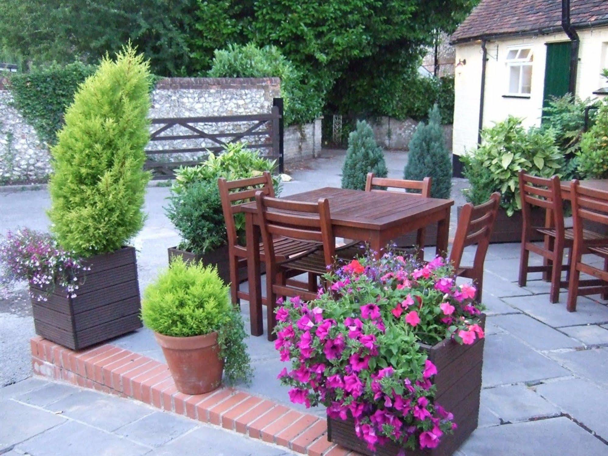Ye Olde George Inn - Badger Pubs Privett Εξωτερικό φωτογραφία